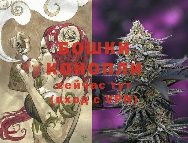 ГАЛЛЮЦИНОГЕННЫЕ ГРИБЫ Горнозаводск