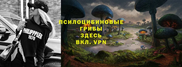 спайс Горняк