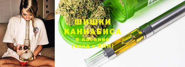 ГАЛЛЮЦИНОГЕННЫЕ ГРИБЫ Горнозаводск